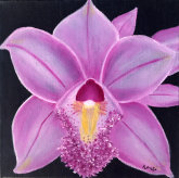 revatihealingpractices.com010061.jpg