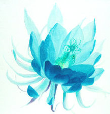 revatihealingpractices.com010074.jpg